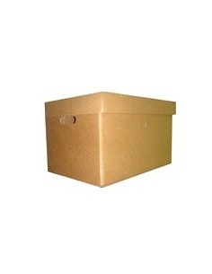 CAJA ARCHIVO GS 43x33x26 - Codigo: 151150