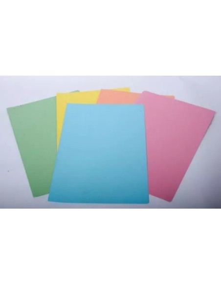 CARPETA CARATULA F55 PLO x UN - Codigo: 173055