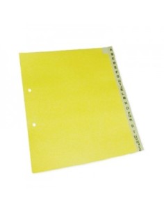 INDICE ESCOLAR PLODER 540011 - Codigo: 455121 2