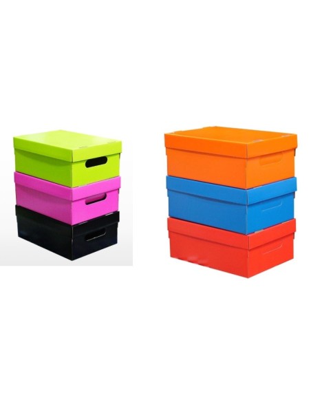 CAJA GS CHICA COLOR LISA - Codigo: 152011