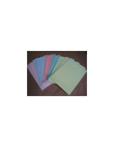 TECNICA 6 CARTULINA PASTEL x30 - Codigo: 175917