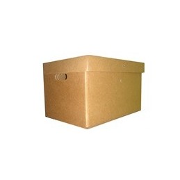 CAJA ARCHIVO GS 43x33x26 -...