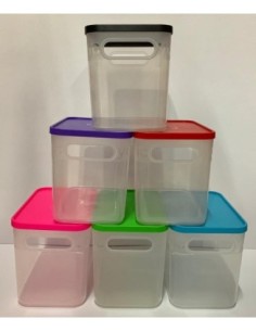ORGANIZADOR CON TAPA LP - Codigo: 675042